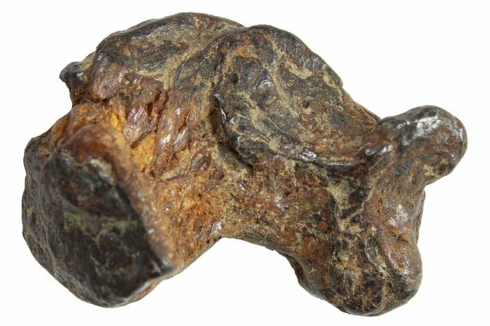 Sericho Pallasite Meteorite Metal Skeletons - Kenya - Photo 1